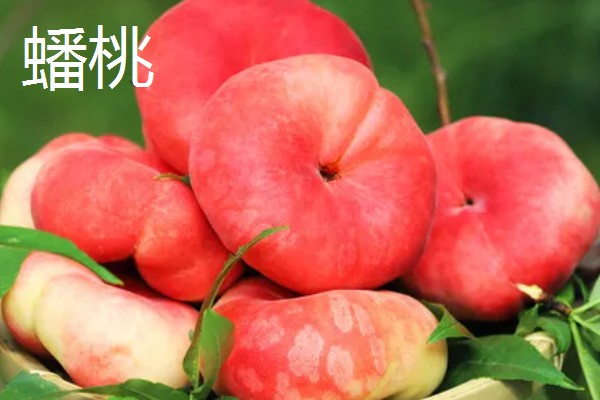 蟠桃与水蜜桃的区别,果型和颜色等均不同