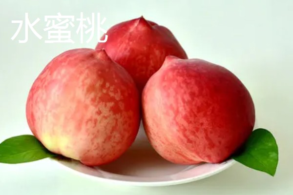 蟠桃与水蜜桃的区别,果型和颜色等均不同