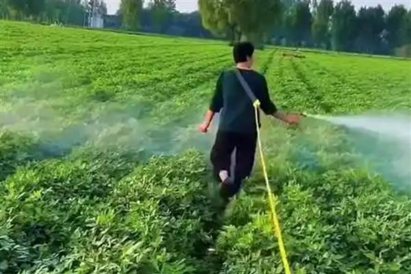 使用枯草芽孢杆菌要注意什么，兑水激活后的效果比直接撒施更好