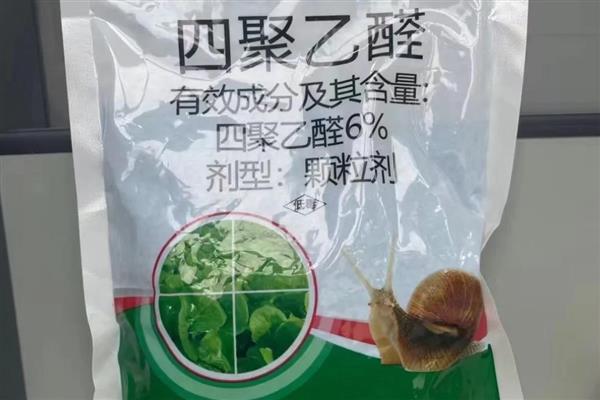 哪些药物可以杀蜗牛，四聚乙醛、速灭·硫酸铜等药物都有良好的防效