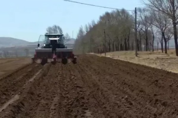 大豆的种植方法,种植前放入40度的温水中浸种
