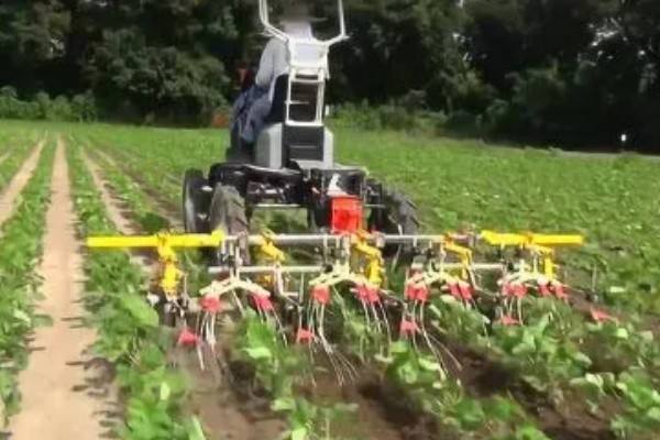 大豆的种植方法,种植前放入40度的温水中浸种