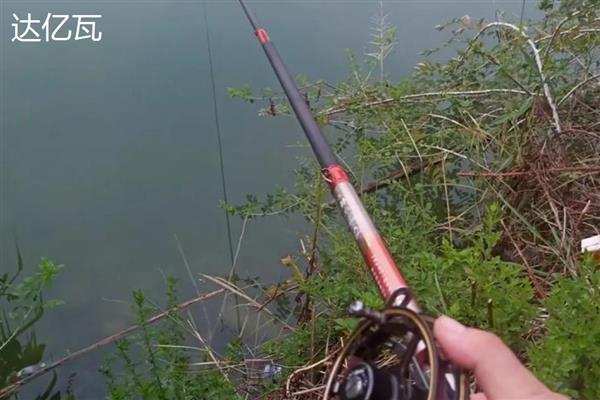 谷麦竿适合用长节还是短节，应根据钓场环境做选择