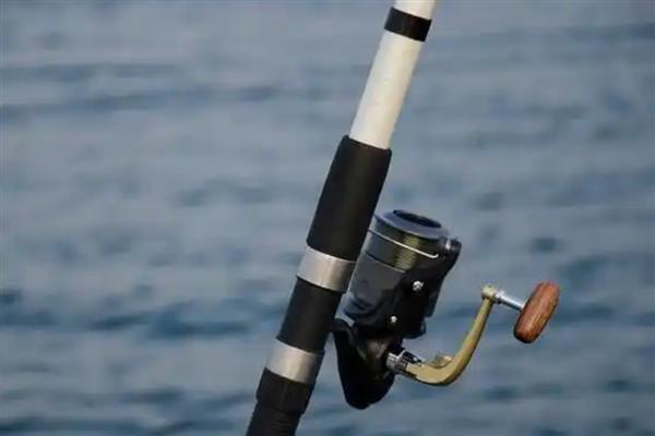 谷麦竿适合用长节还是短节，应根据钓场环境做选择