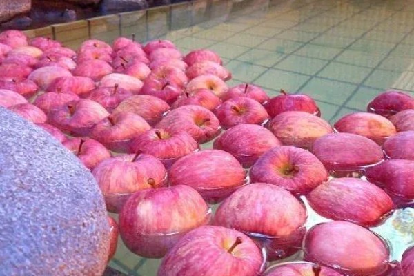 丑苹果的知名产地，四川、云南产出的丑苹果品质较好