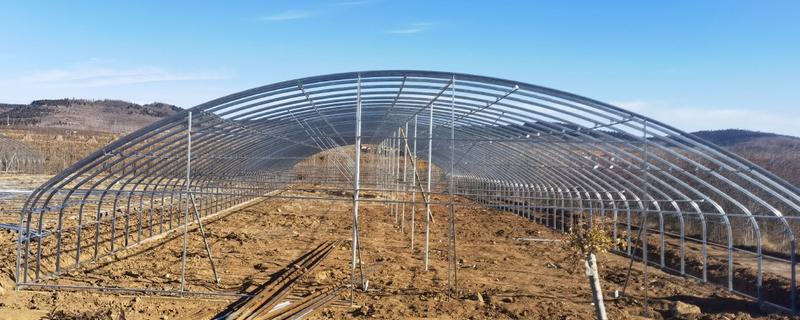 大棚骨架怎么搭建，建在背风向阳处有利于保温