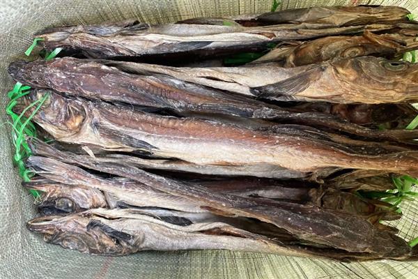 柴鱼干发霉了能否食用，发霉不是鱼肉变质