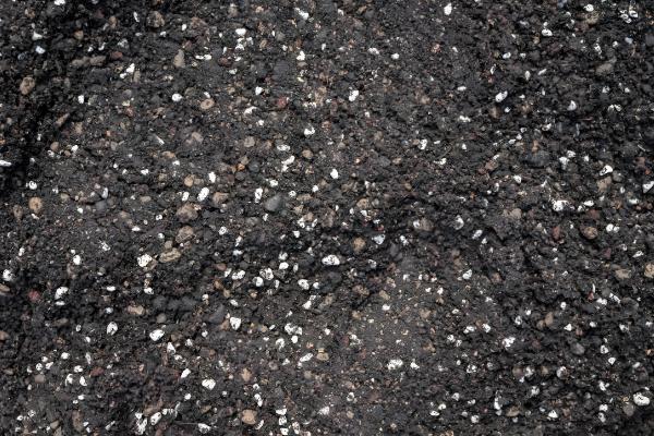 仙人掌传播种子的方法，以人工传播、动物传播、风力传播为主