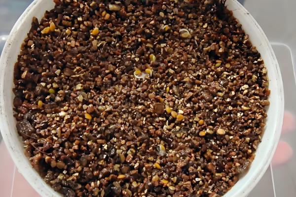 小雏菊鲜花可以养多长时间，水培可维持10天左右不凋谢