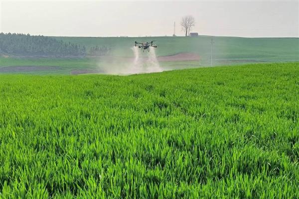 使用农药的误区,常见以下5种观点