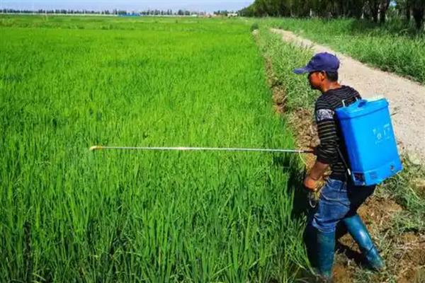 使用农药的误区,常见以下5种观点