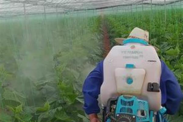 使用农药的误区,常见以下5种观点