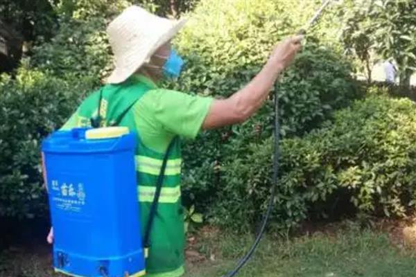 使用农药的误区,常见以下5种观点