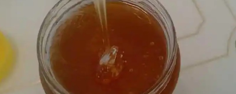 桉树蜜是否容易结晶，属于相对容易结晶的蜜种