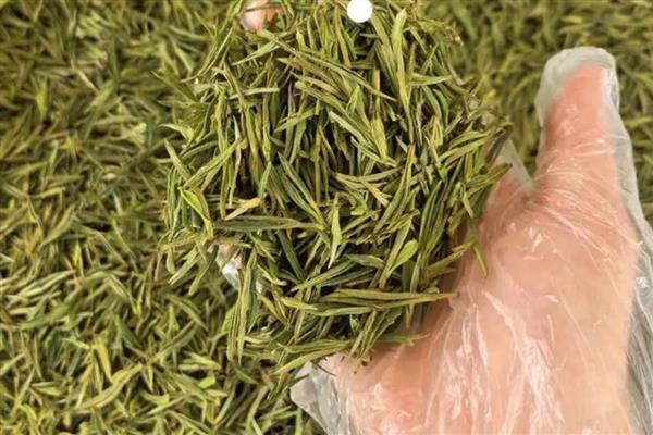 江西产什么茶,有庐山云雾茶、婺源绿茶等