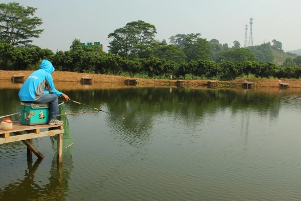黑坑用硫酸铜能不能让鱼开口,可增加鱼口但多次使用会引发不良后果