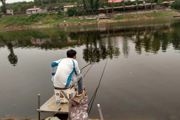 黑坑用硫酸铜能不能让鱼开口,可增加鱼口但多次使用会引发不良后果