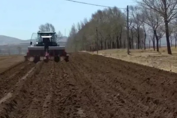 什么时候种植大蒜，长江流域及以南地区可在9月份播种