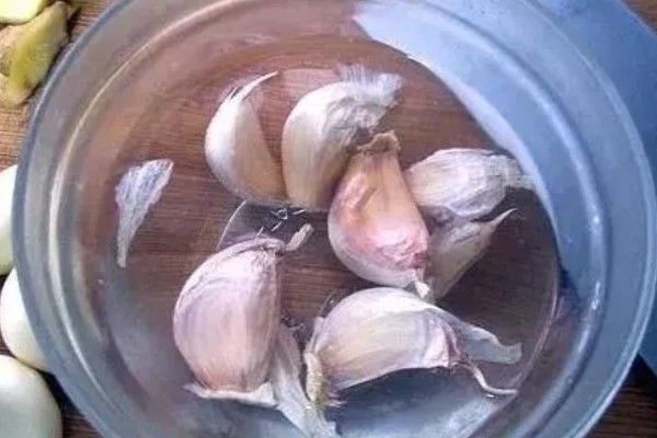 夏季种植大蒜如何催芽，先用温水浸泡1小时左右