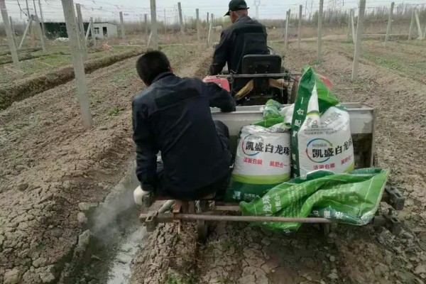 夏季种植大蒜如何催芽，先用温水浸泡1小时左右