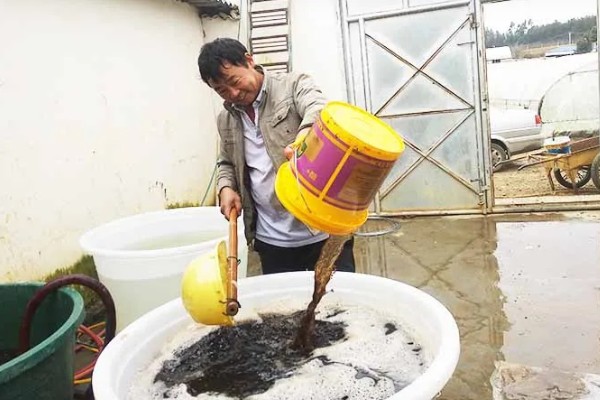 一斤水用多少复合肥，用7-8粒复合肥就可以