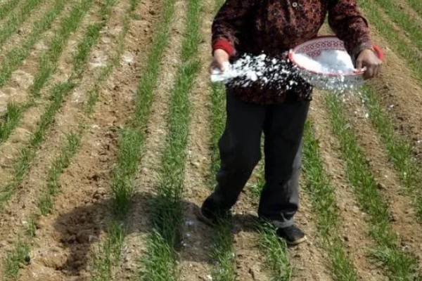 一斤水用多少复合肥，用7-8粒复合肥就可以