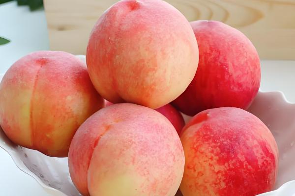 凤凰水蜜桃在几月上市,分为特早、早、中、晚熟品种