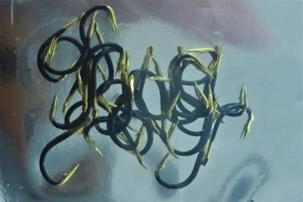 5号伊势尼钩能不能钓小鱼，可以使用但不利于鱼儿吞饵