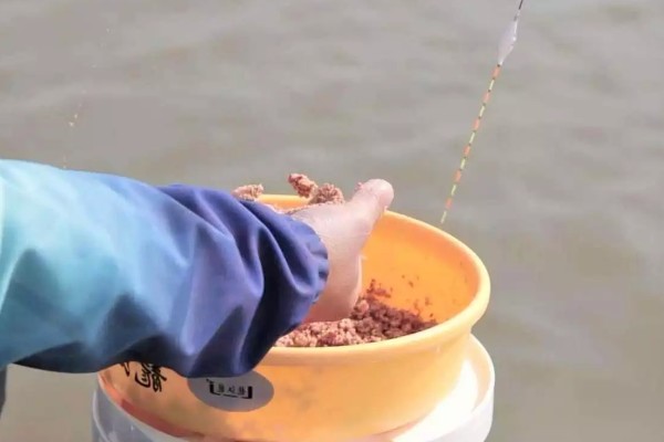 青鱼喜欢吃螺蛳吗,青鱼喜欢吃螺蛳