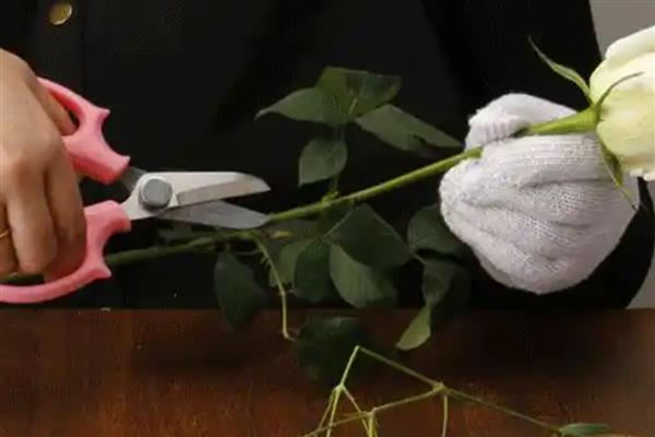 韩式花束的包装方式,可以包成铲子形、漏斗形等形状