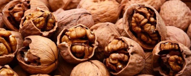 核桃是碱性食品吗，是碱性食物