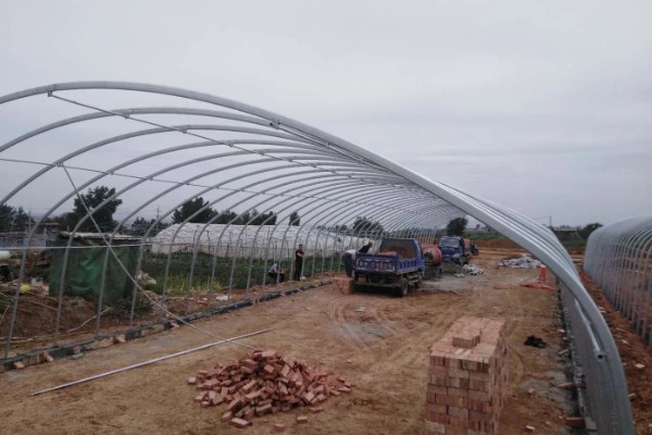 大棚骨架怎么搭建,建在背风向阳处有利于保温