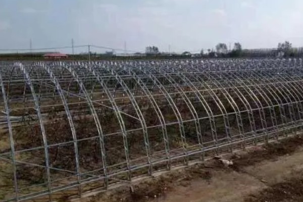 大棚骨架怎么搭建,建在背风向阳处有利于保温