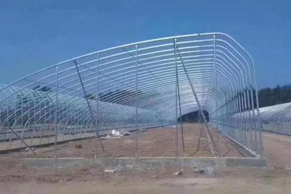 大棚骨架怎么搭建,建在背风向阳处有利于保温