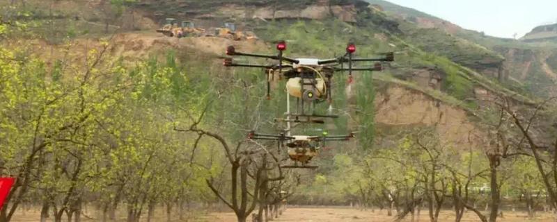 枣树喷药时间，以5月上旬和下旬为宜