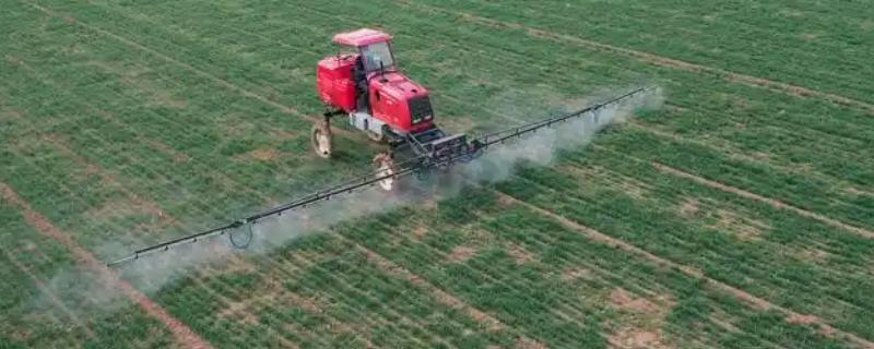 使用农药的误区，常见以下5种观点