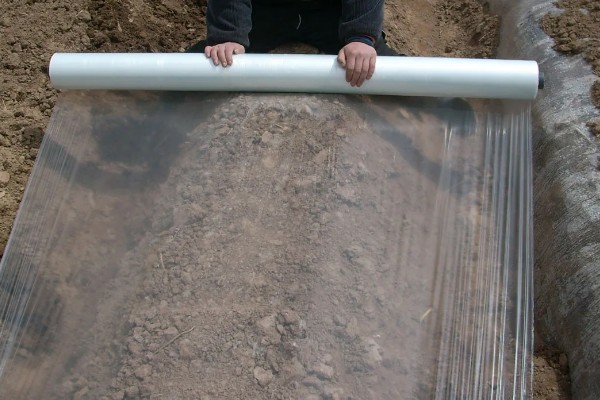 大蒜地膜下边杂草怎么除,可覆盖特种地膜