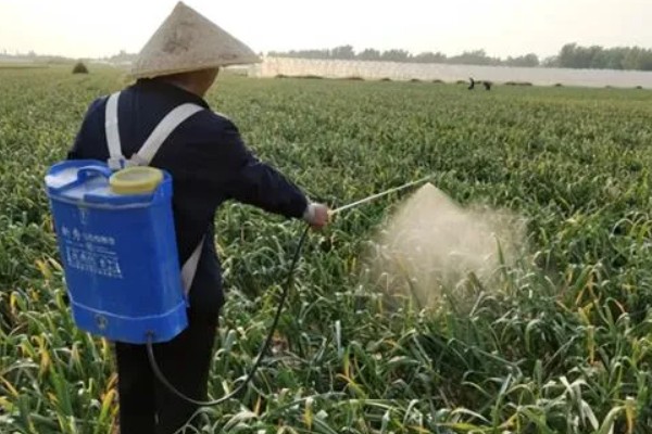 大蒜地膜下边杂草怎么除,可覆盖特种地膜