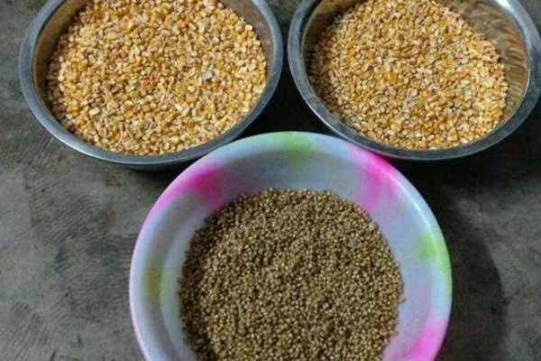 老鬼鱼饵怎么搭配，根据垂钓对象选择不同的饵料去配制