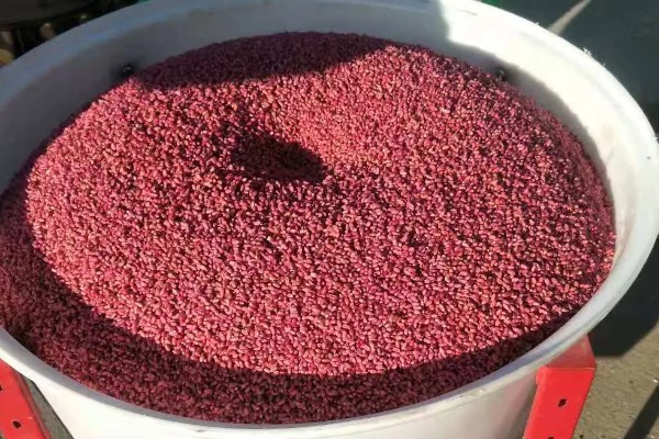 用哪种药物对小麦拌种,根据防治对象决定药物种类