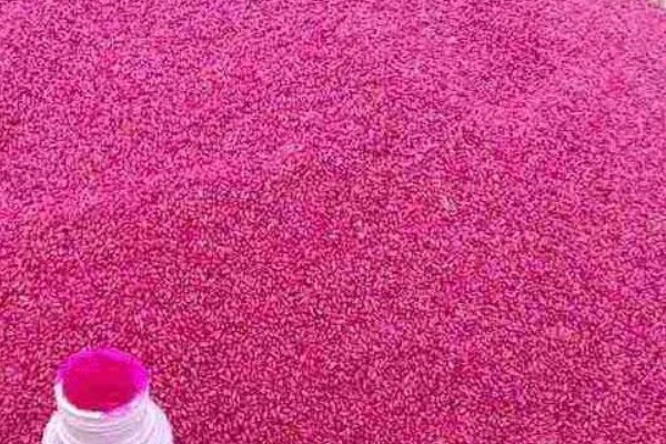 用哪种药物对小麦拌种,根据防治对象决定药物种类