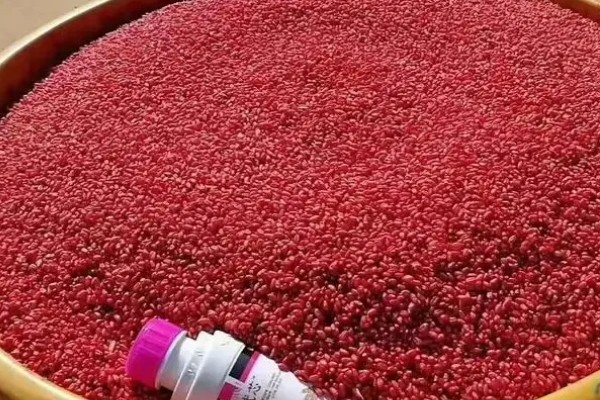 用哪种药物对小麦拌种,根据防治对象决定药物种类