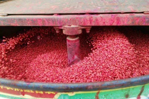 用哪种药物对小麦拌种,根据防治对象决定药物种类