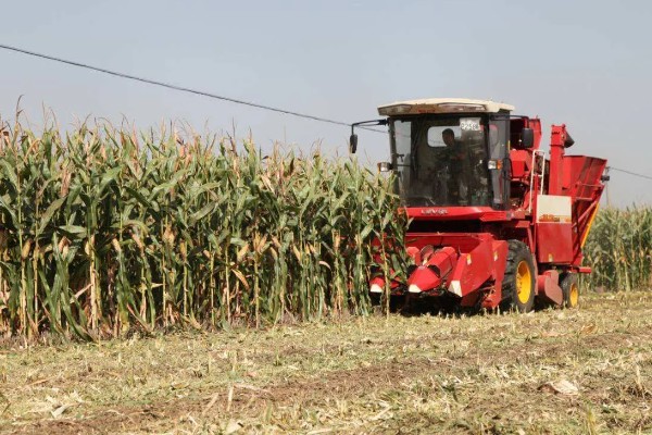 玉米收割机怎么使用,机器运转时不能排除故障