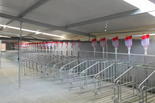 盖猪舍用什么材料可以省钱,墙体可以使用土、砖等材料