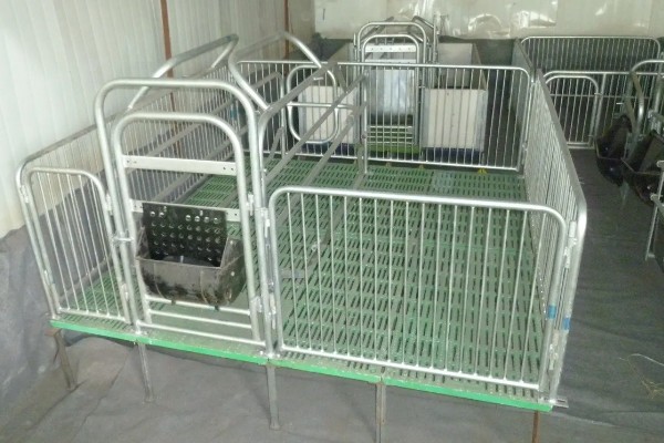 盖猪舍用什么材料可以省钱,墙体可以使用土、砖等材料