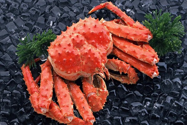 帝王蟹能不能人工养殖,目前无法模拟其生活环境