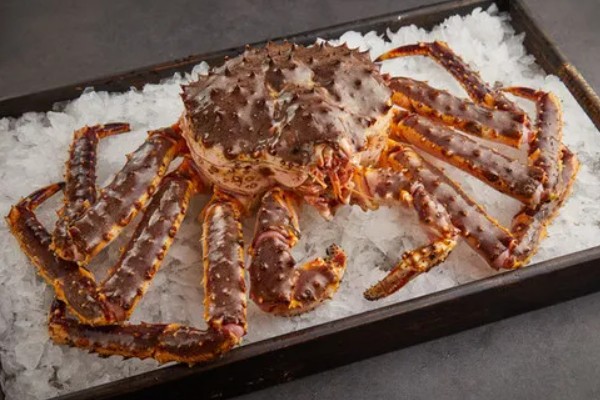 帝王蟹能不能人工养殖,目前无法模拟其生活环境