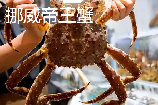 帝王蟹能不能人工养殖,目前无法模拟其生活环境