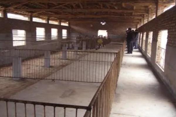 盖猪舍用什么材料可以省钱,墙体可以使用土、砖等材料